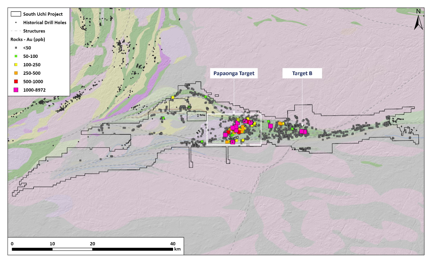 Figure 3. South Uchi Project regional rock sampling gold geochemistry