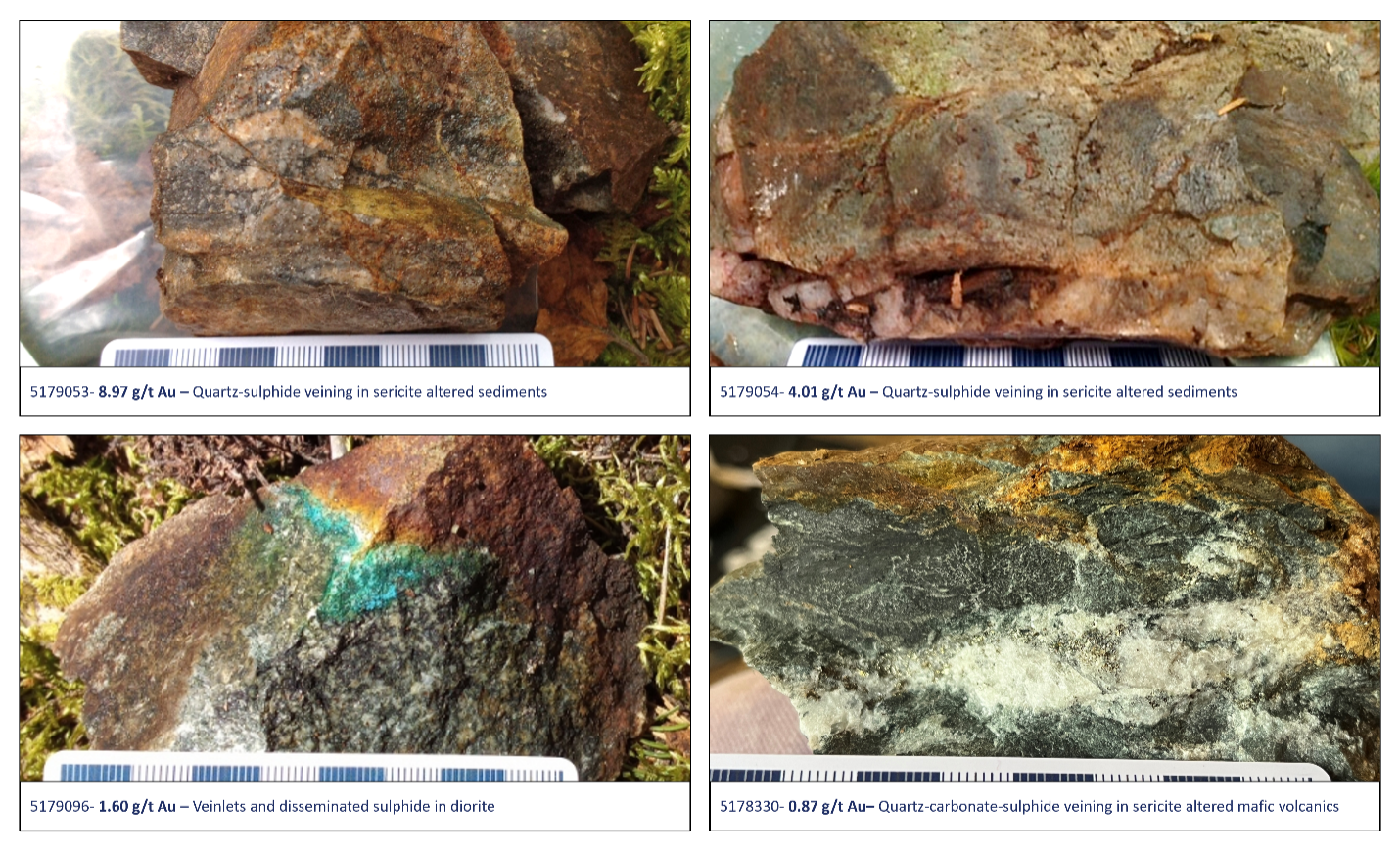Figure 5. Rock samples from 2024 prospecting showing Papaonga lithologies and mineralisation styles