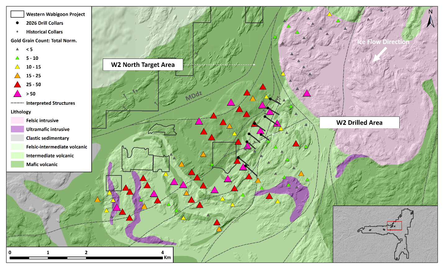 Figure 2. Plan map of the W2 target area with drill hole locations and gold grain counts from HMC till sampling