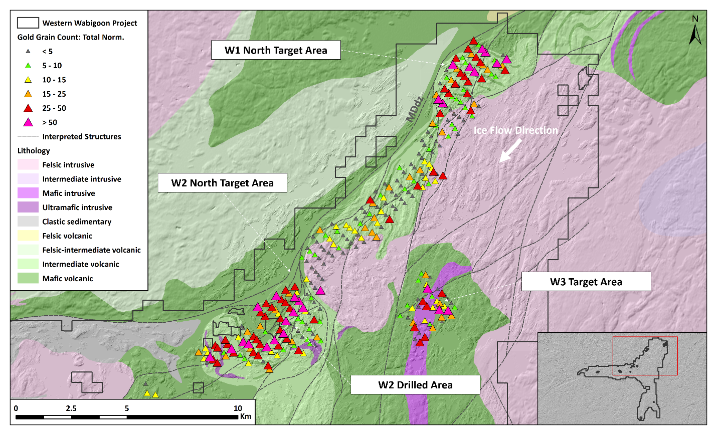 Figure 3. Plan map of the W1, W2 and W3 target areas of the Western Wabigoon Project, with normalized gold grain counts from HMC till sampling